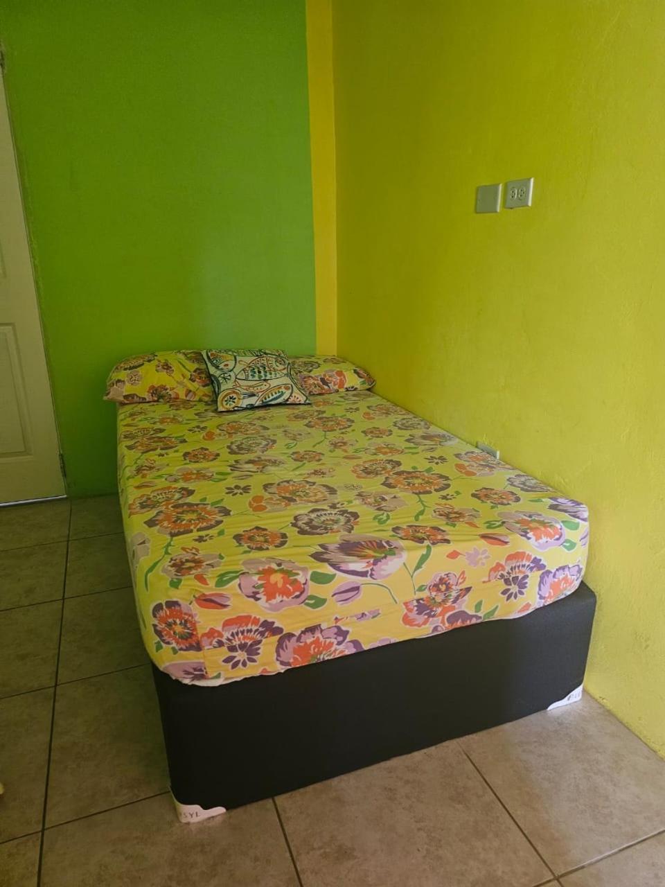 Fish Tobago Guesthouse Or Joy And Brandon Guesthouse Buccoo Pokoj fotografie